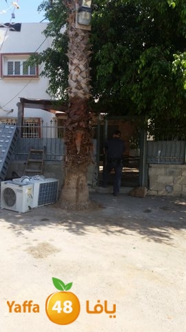 dahmashasudwq (15).jpg